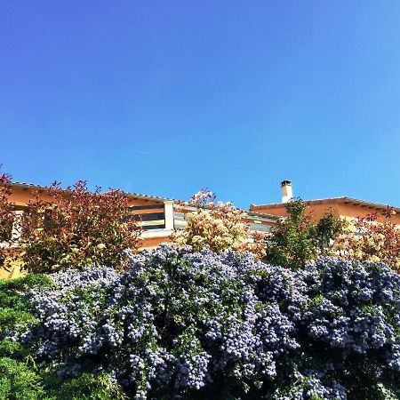 Le Petit Berthier Apartamento Gilhoc-sur-Ormeze Exterior foto